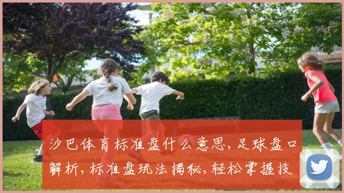 沙巴体育标准盘什么意思,足球盘口解析,标准盘玩法揭秘,轻松掌握技巧