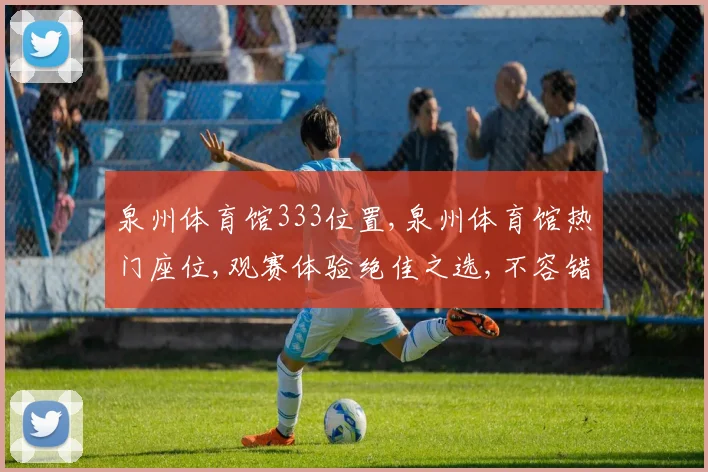泉州体育馆333位置,泉州体育馆热门座位,观赛体验绝佳之选,不容错过